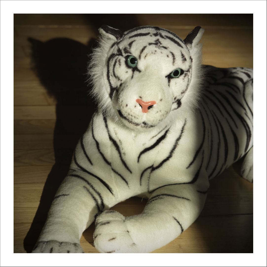 New photographs2 14 - 110 x 110 cm Diasec Mounted Prints - Edition of 5