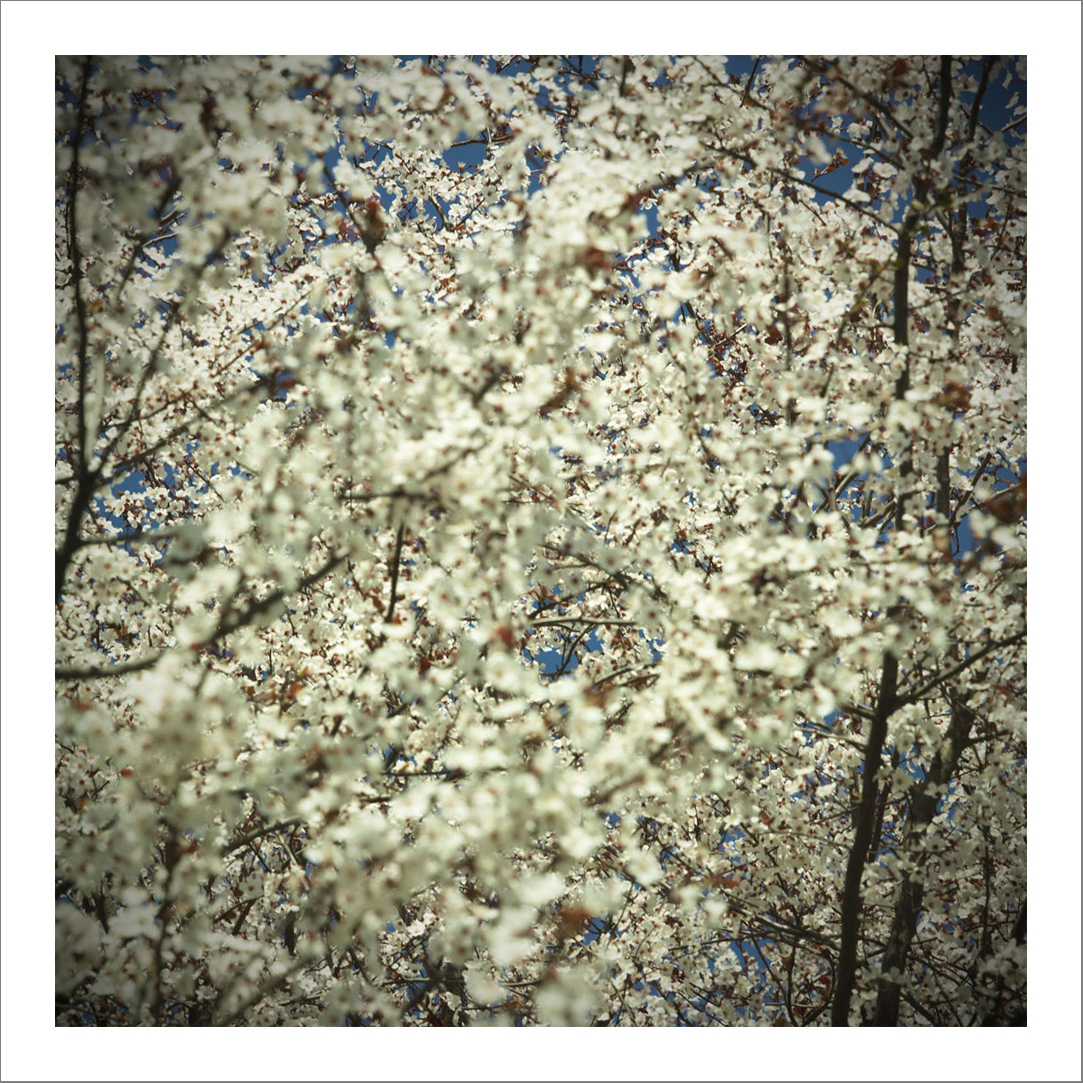 New photographs2 17 - 110 x 110 cm Diasec Mounted Prints - Edition of 5