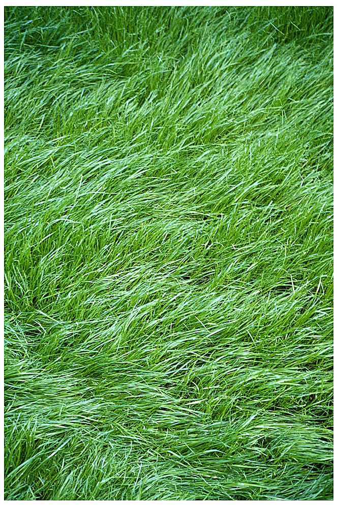 New photographs1 37 - 110 x 140 cm Pigment Prints - Edition of 5