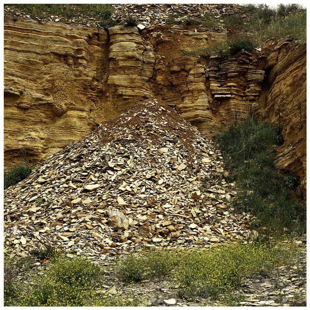 New photographs1 41 - 110 x 140 cm Pigment Prints - Edition of 5