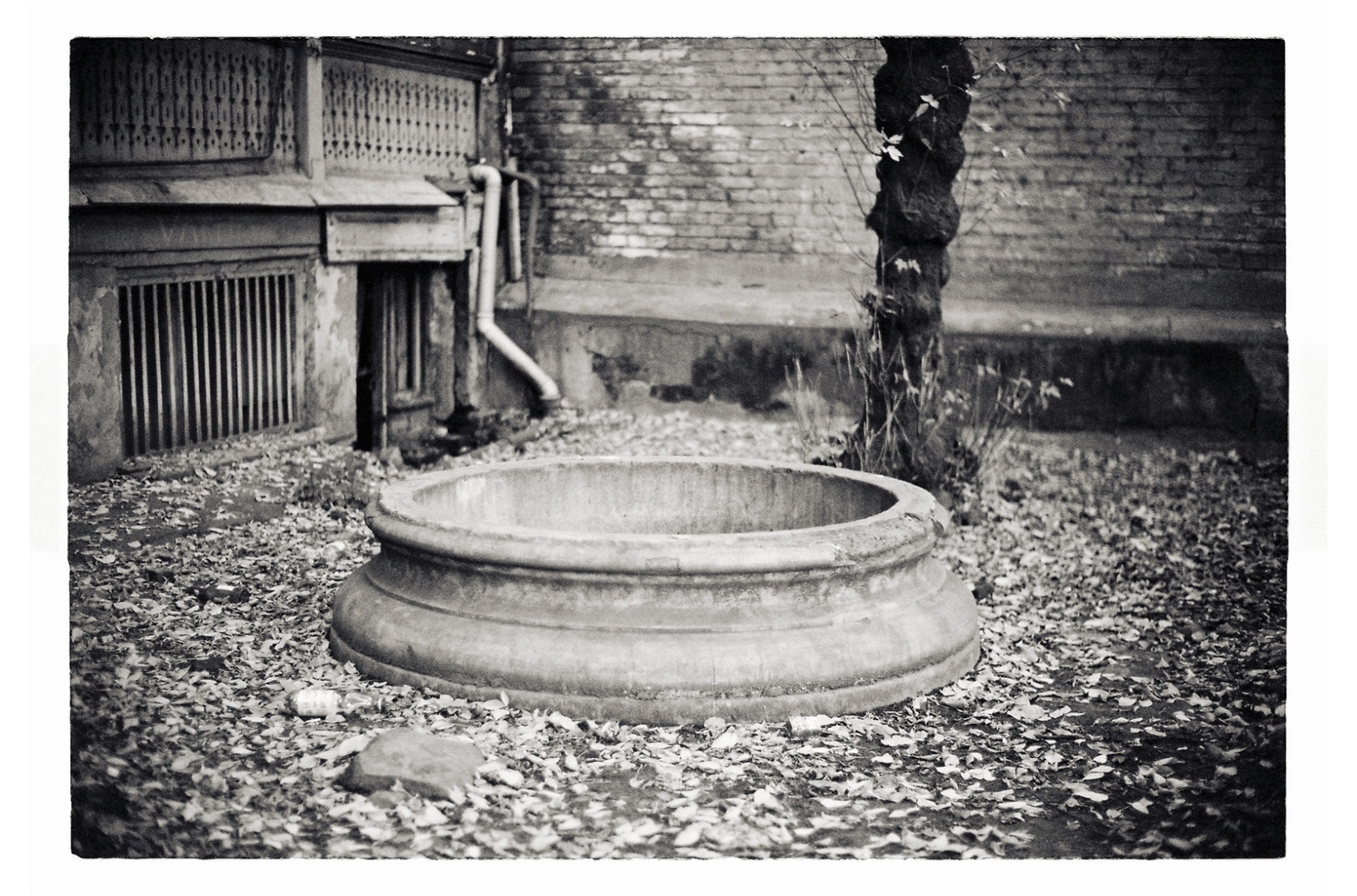 15 x 22 cm Postcard Size Prints - Edition of 5