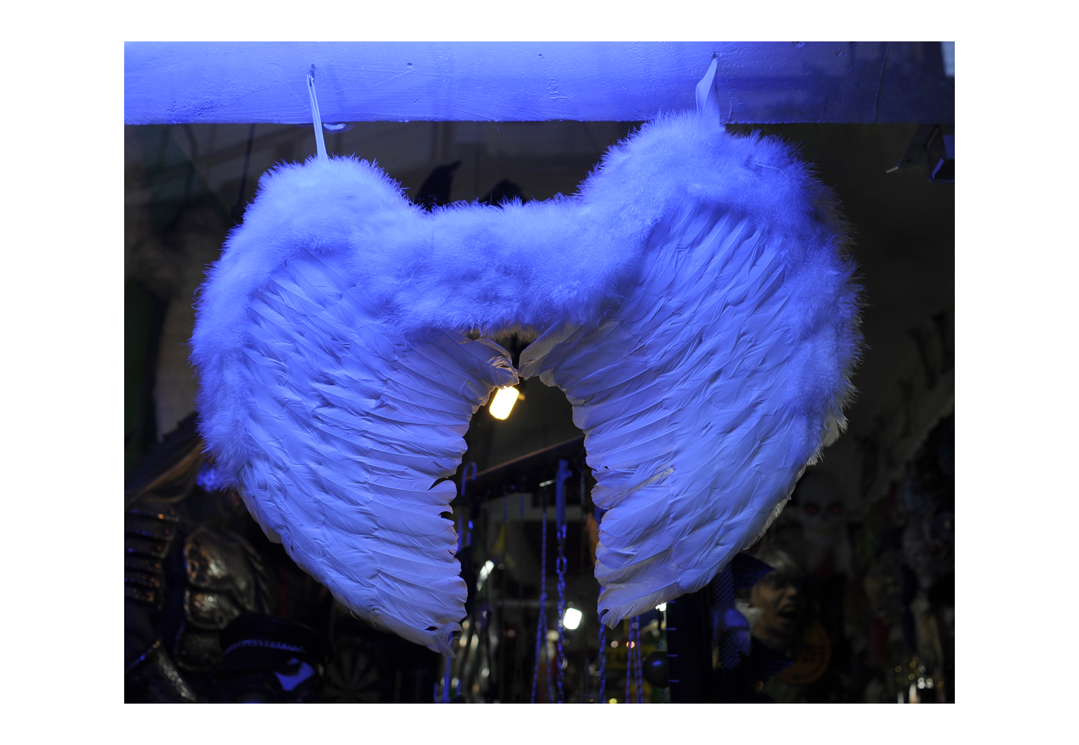 312 pp Book Project / 2010 Istanbul European Capitol of Culture